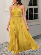 Swiss Dot Backless Sleeveless Long Dress - TNT Dress Co.