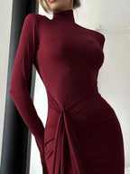 Turtleneck Long Sleeve Dress